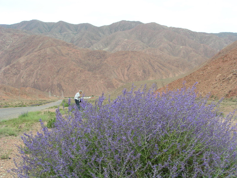 image34