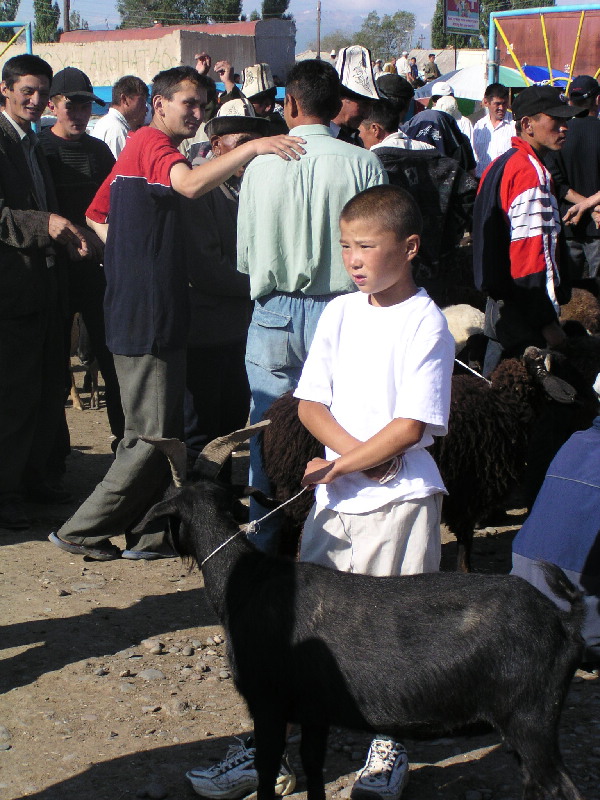image45