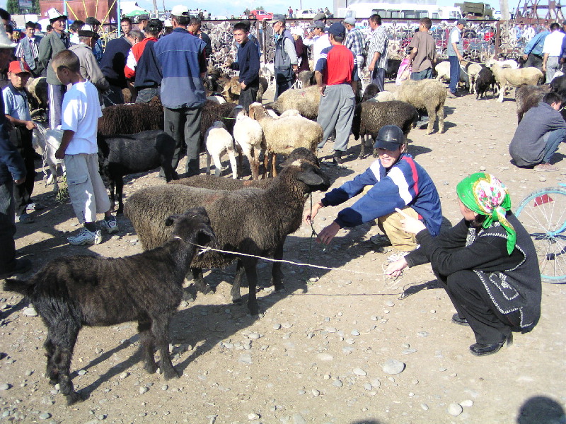 image46