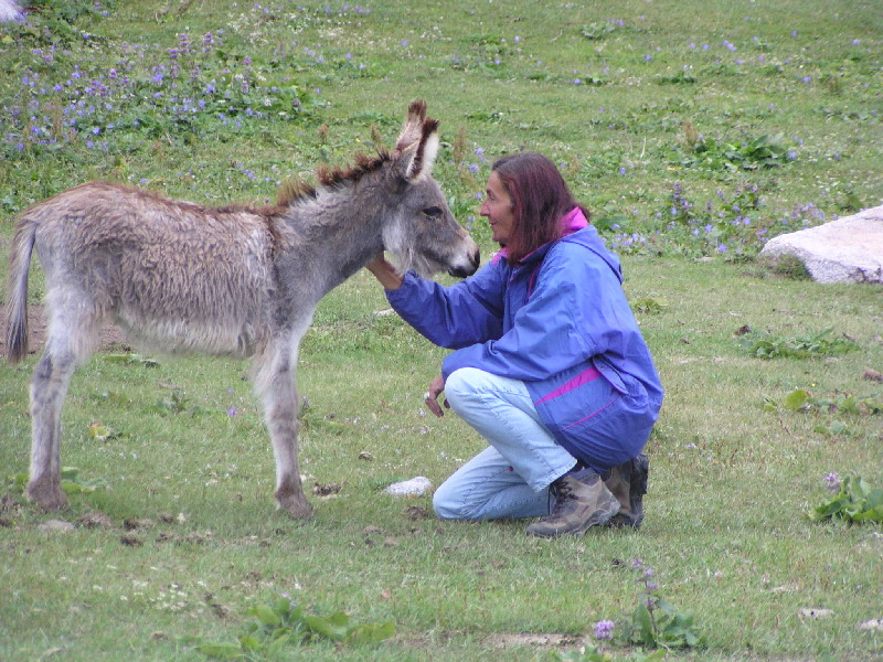 image58