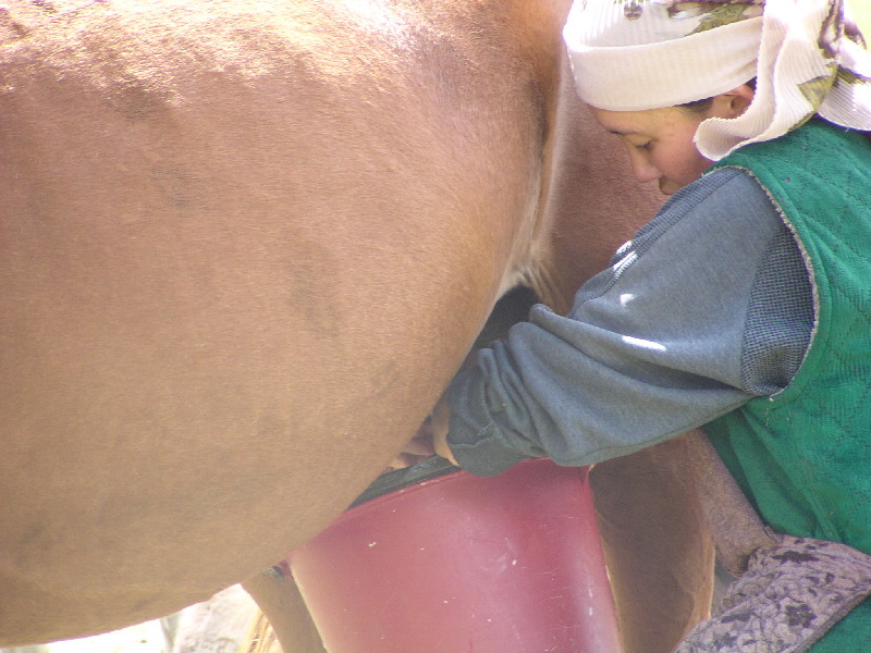 image70
