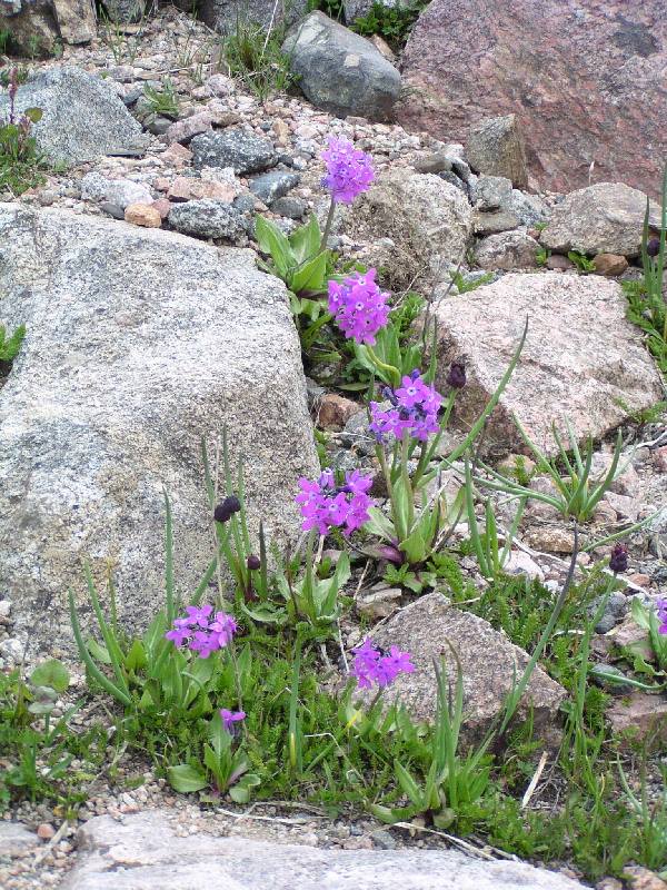 image80