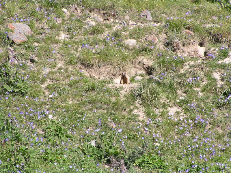 image85